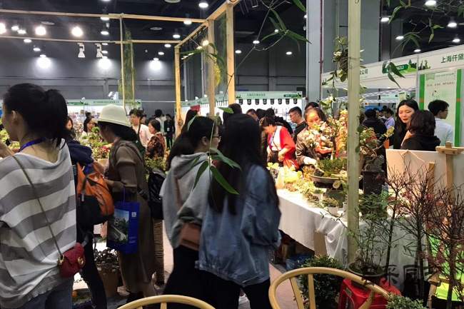 2021亚洲花卉产业博览会Flower Expo报名地址(www.253378.com)