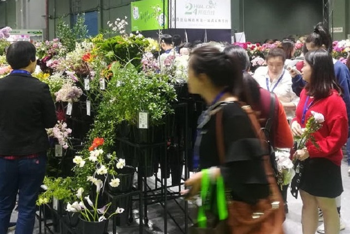 2023广州花卉展将于5月10日举行(www.253378.com)